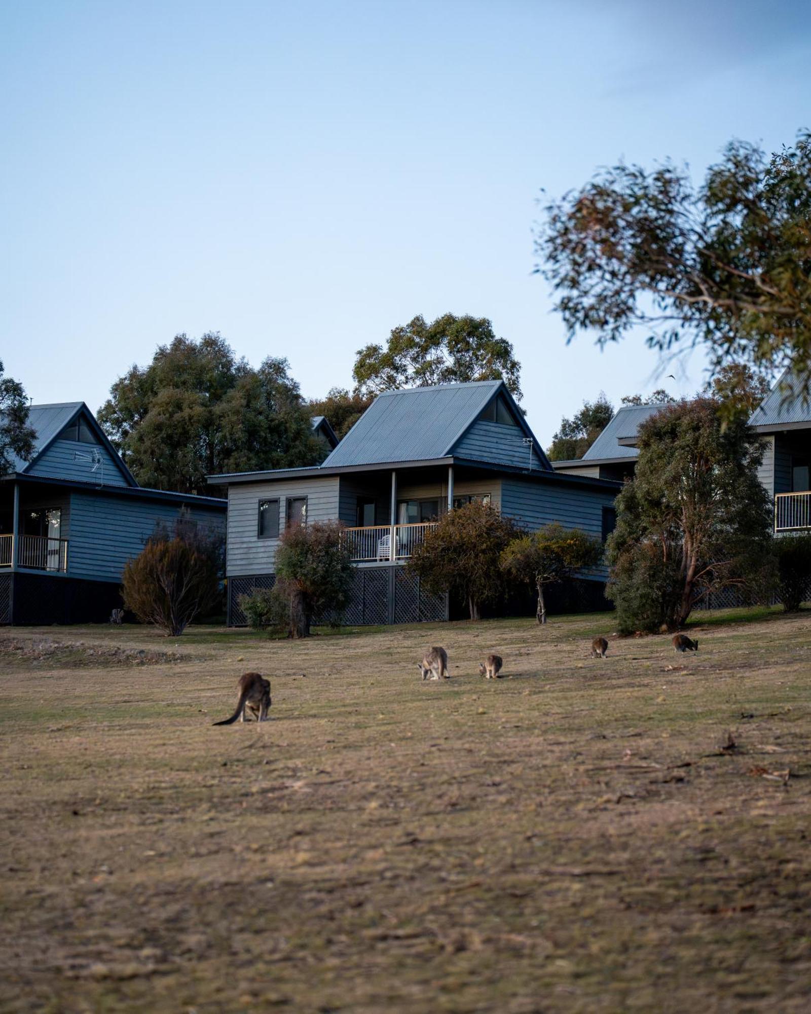 Adventist Alpine Village Jindabyne Zewnętrze zdjęcie